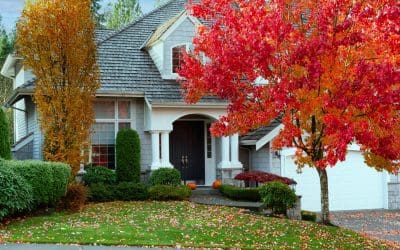 Fall Lawn Maintenance: The Most Important Work You’ll Do All Year