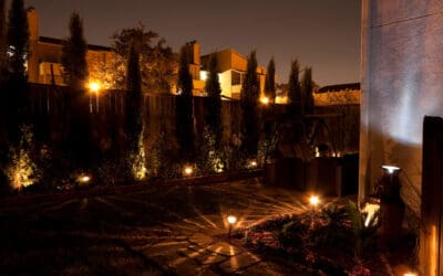 Light Up Your Yard for Less: Smart Solar Lighting Ideas for Homeowners