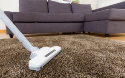 Clear the Air: A Homeowner’s Guide to Allergy-Proofing Your Home